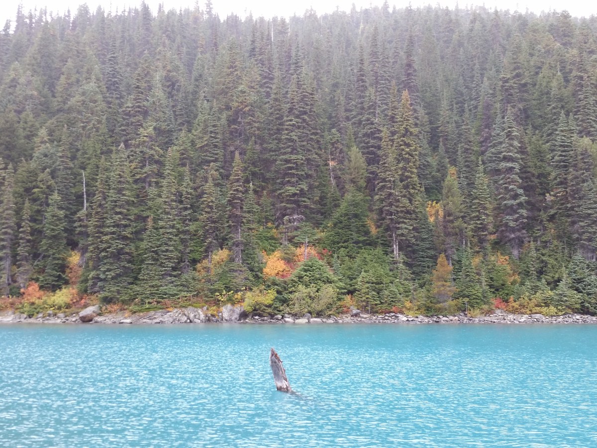 Jet Set to Vancouver