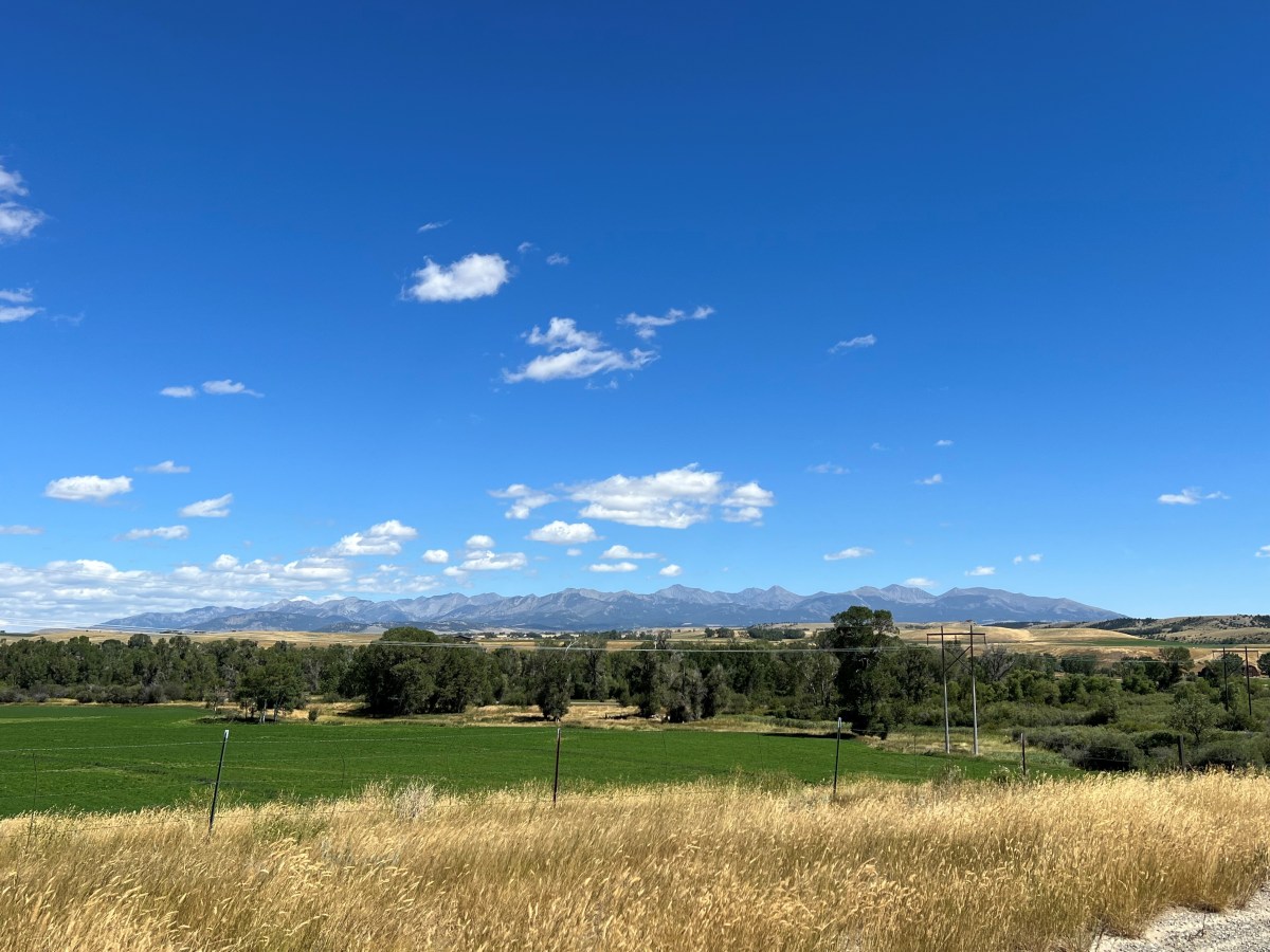 Fate vs. Force – Montana